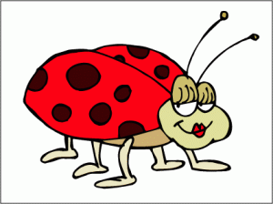 20070919_ladybug-16